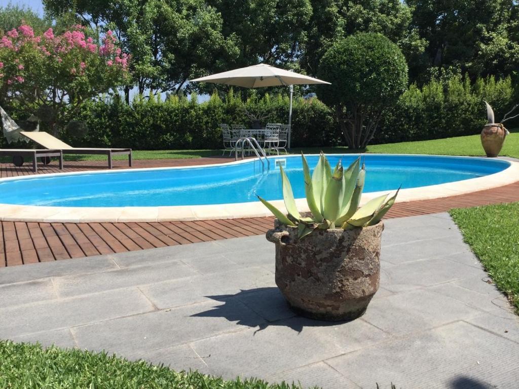 Con Piscina Esclusiva Vista Etna Mascali